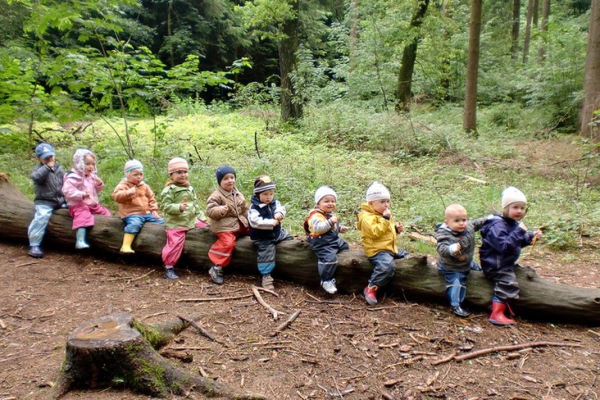 Über uns – Bundesverband der Natur- und Waldkindergärten